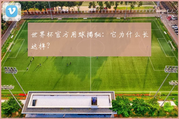世界杯官方用球揭秘：它为什么长这样？